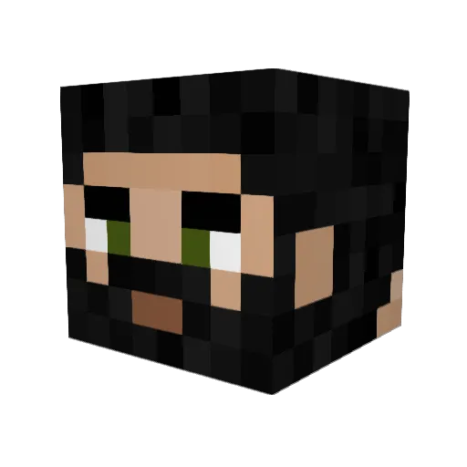 Phroggy6073 Minecraft avatar head, 3D render