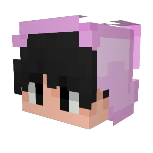 Phsykey Minecraft avatar head, 3D render