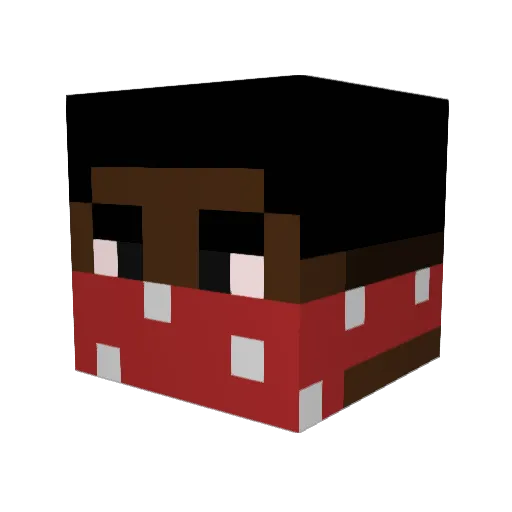 Phuc_2011 Minecraft avatar head, 3D render