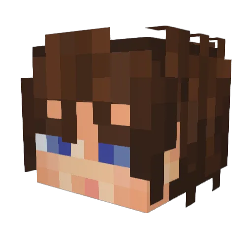 Phycoking Minecraft avatar head, 3D render