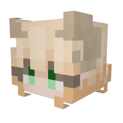 Phylicia01 Minecraft avatar head, 3D render