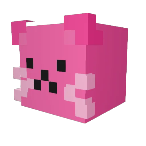Phylma1 Minecraft avatar head, 3D render