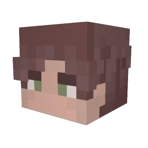 Phylos25 Minecraft avatar head, 3D render