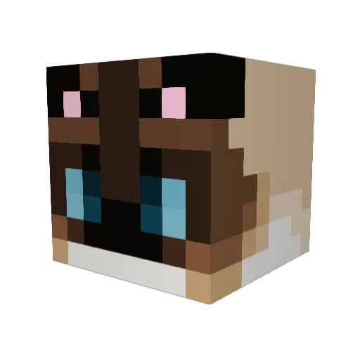PhylumSmilodon Minecraft avatar head, 3D render
