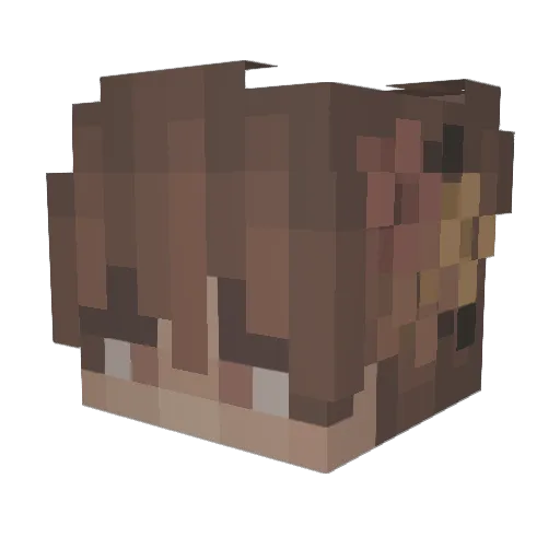 PhymosNC Minecraft avatar head, 3D render