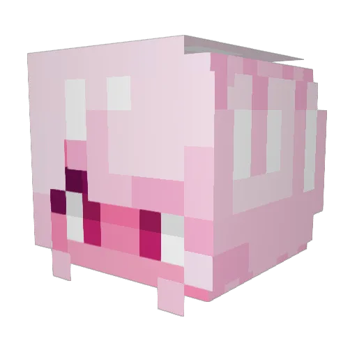 Phynhas Minecraft avatar head, 3D render