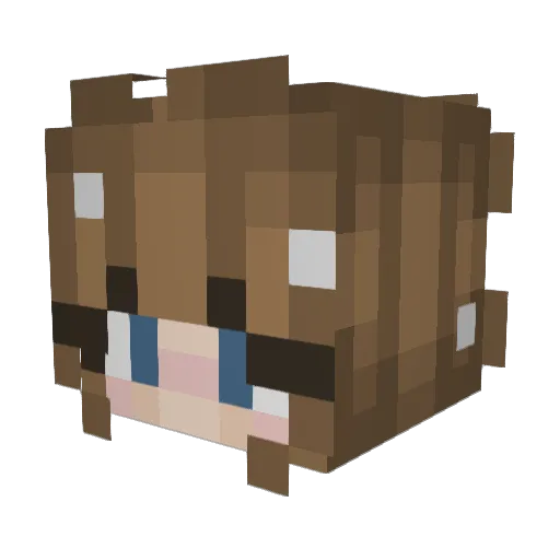 Phynnlee Minecraft avatar head, 3D render