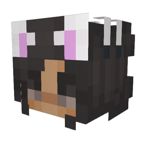Phyntonia Minecraft avatar head, 3D render