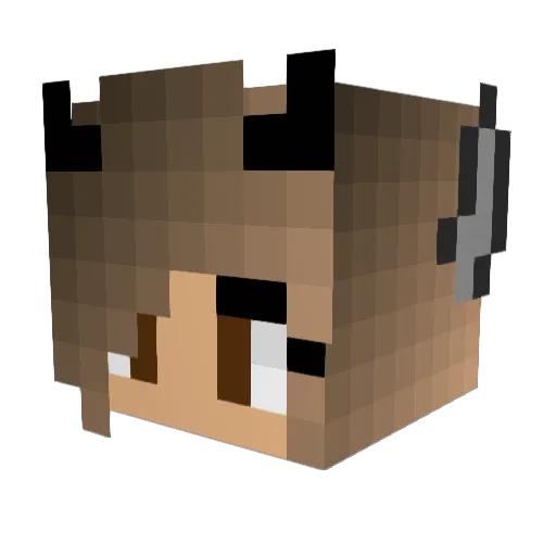 Phynxxxs Minecraft avatar head, 3D render