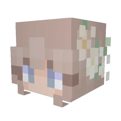 Phyrelyte Minecraft avatar head, 3D render