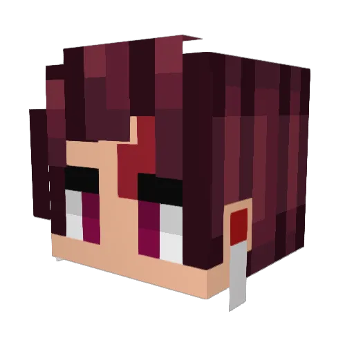 Physhi909 Minecraft avatar head, 3D render
