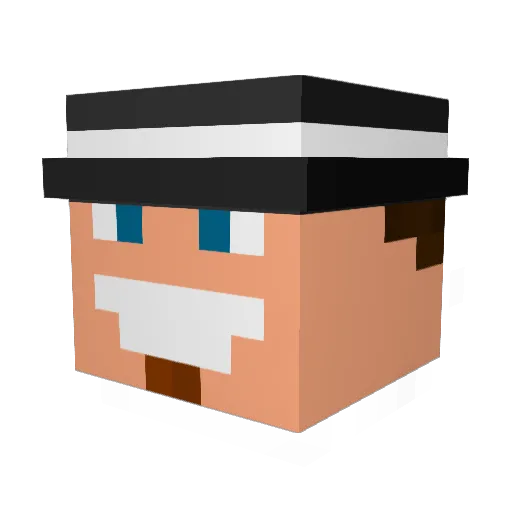 Physicals Minecraft avatar head, 3D render