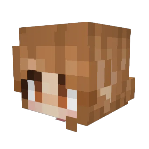 Physicalsample Minecraft avatar head, 3D render
