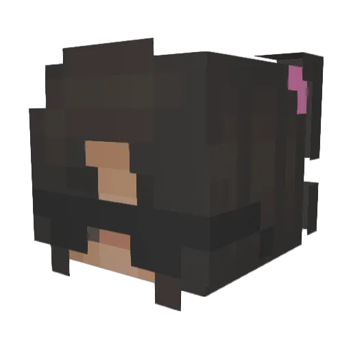 Physics4You Minecraft avatar head, 3D render