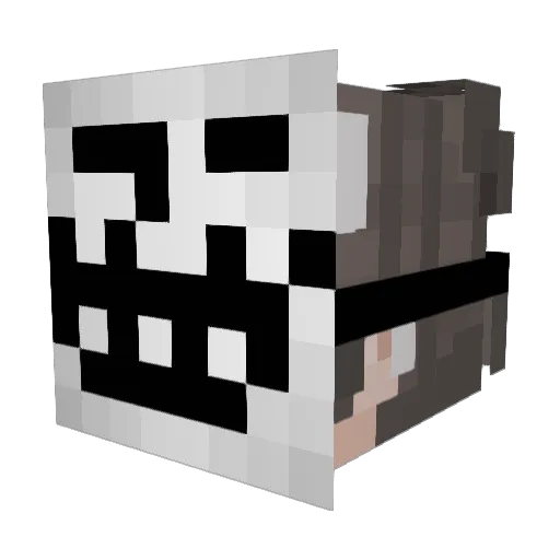 PhysicsGamer16 Minecraft avatar head, 3D render