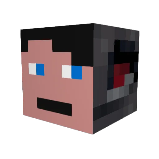 Physiker1 Minecraft avatar head, 3D render