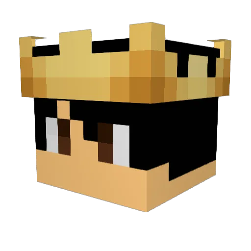 PhysioBiology Minecraft avatar head, 3D render