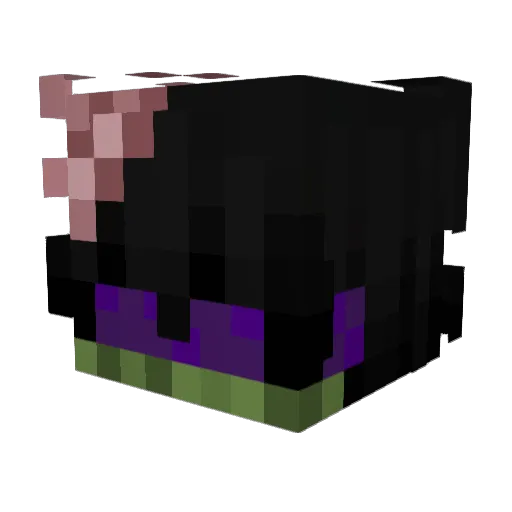 Pi4d1na2000 Minecraft avatar head, 3D render