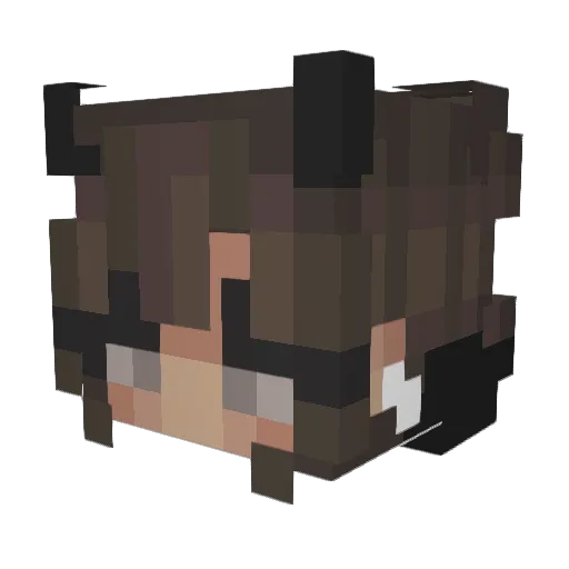 Pi95 Minecraft avatar head, 3D render