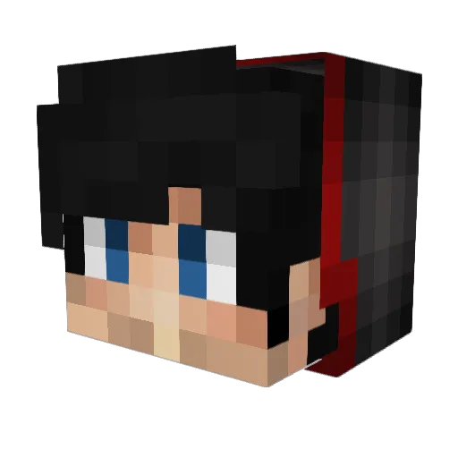 PiGuy3_14 Minecraft avatar head, 3D render