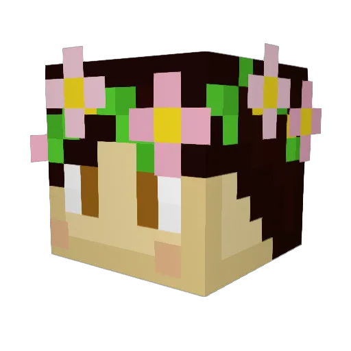 PiJamas Minecraft avatar head, 3D render