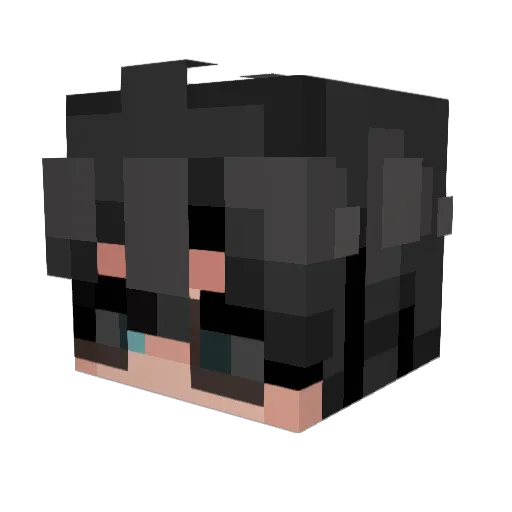 PiLightSpeed Minecraft avatar head, 3D render