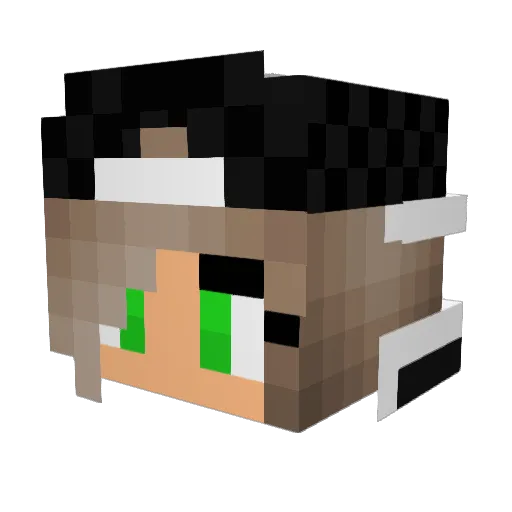 PiPaSt Minecraft avatar head, 3D render