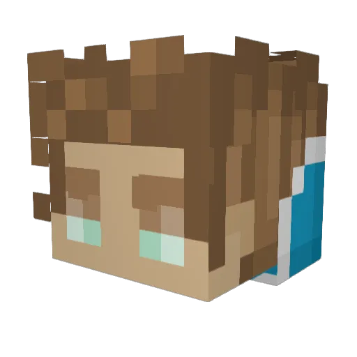 PiRaven Minecraft avatar head, 3D render