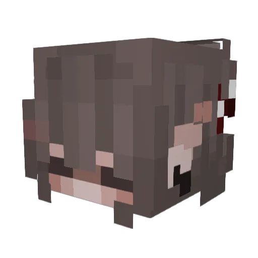 PiXeLBee0403 Minecraft avatar head, 3D render