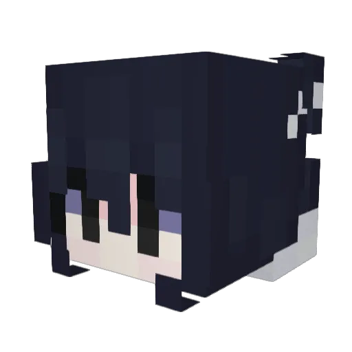 PiXeL_72 Minecraft avatar head, 3D render