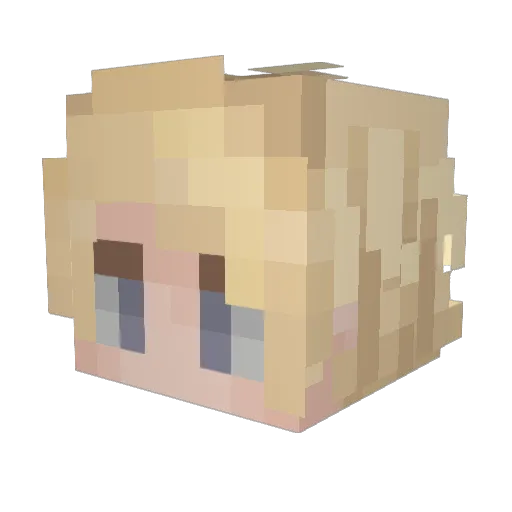 Pi_Nerd Minecraft avatar head, 3D render