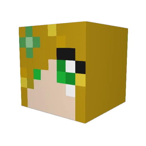 Pi_is_awesome Minecraft avatar head, 3D render