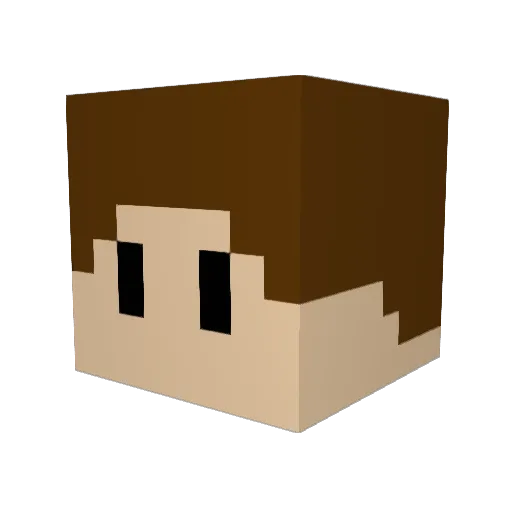 Pi_oter Minecraft avatar head, 3D render