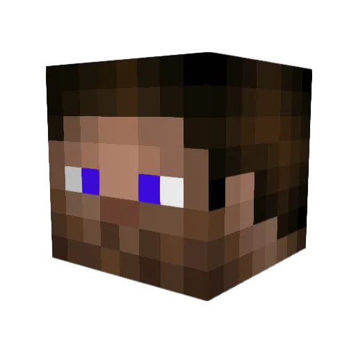 Piadina Minecraft avatar head, 3D render