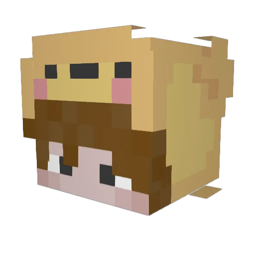 Piadinoo Minecraft avatar head, 3D render