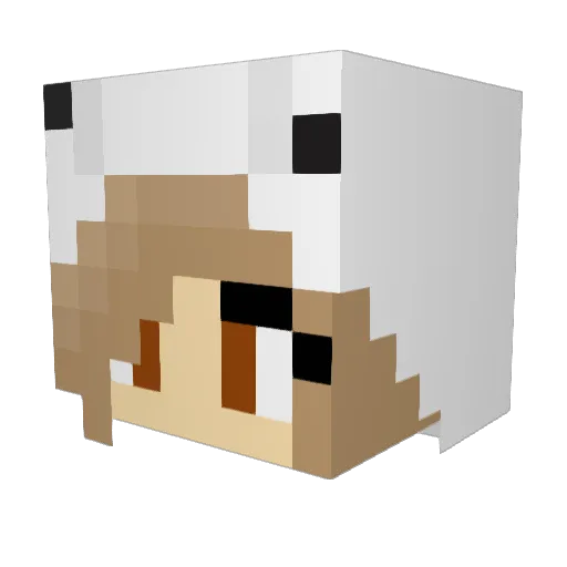 Pian0x Minecraft avatar head, 3D render