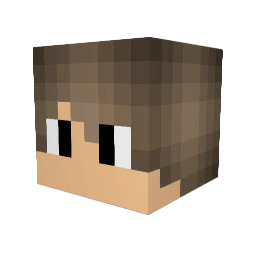 Pianoboi Minecraft avatar head, 3D render