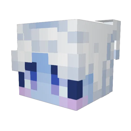 Pianocat8 Minecraft avatar head, 3D render