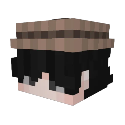 Pianonerd358 Minecraft avatar head, 3D render