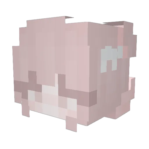 PicadaDeTomate Minecraft avatar head, 3D render