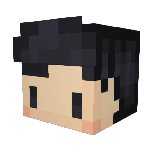 Picard2003 Minecraft avatar head, 3D render