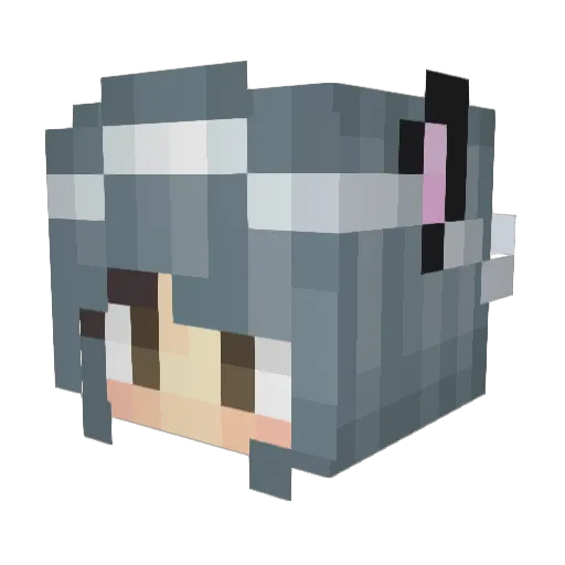 Picatso Minecraft avatar head, 3D render