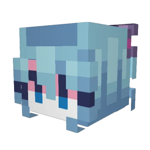 Picc77 Minecraft avatar head, 3D render