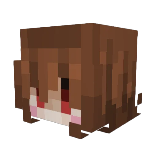 Pichu2308 Minecraft avatar head, 3D render