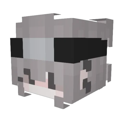 PichyMC Minecraft avatar head, 3D render