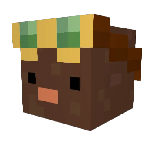 PiciuSS Minecraft avatar head, 3D render
