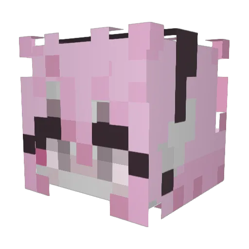PickAndNyx Minecraft avatar head, 3D render