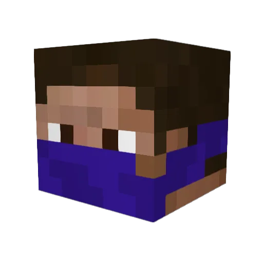 PickedXD Minecraft avatar head, 3D render