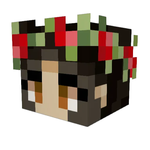Pickle123 Minecraft avatar head, 3D render