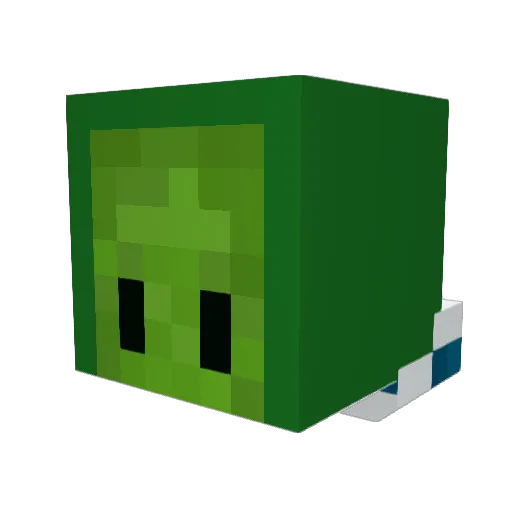 PickleLT_ Minecraft avatar head, 3D render